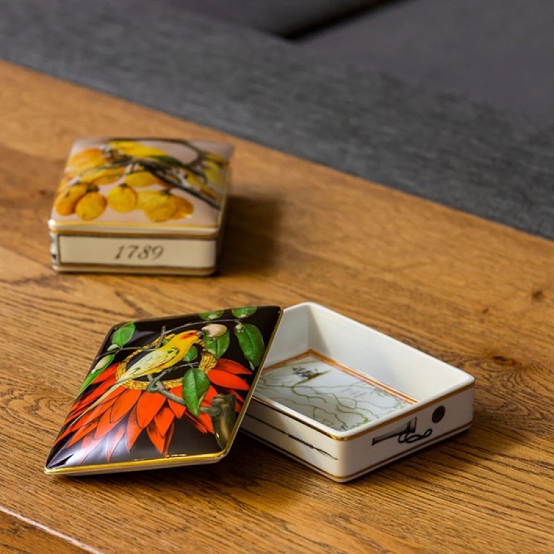 CARDBOX ESC AMAZONIA