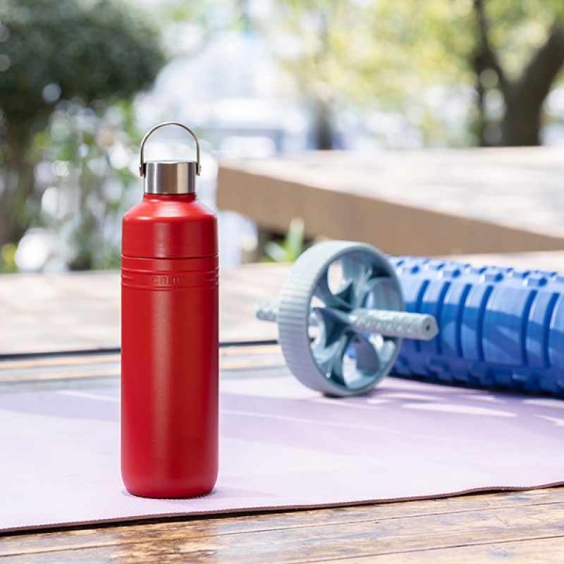0.5L ON THE GO BOTTLE - CERISE
