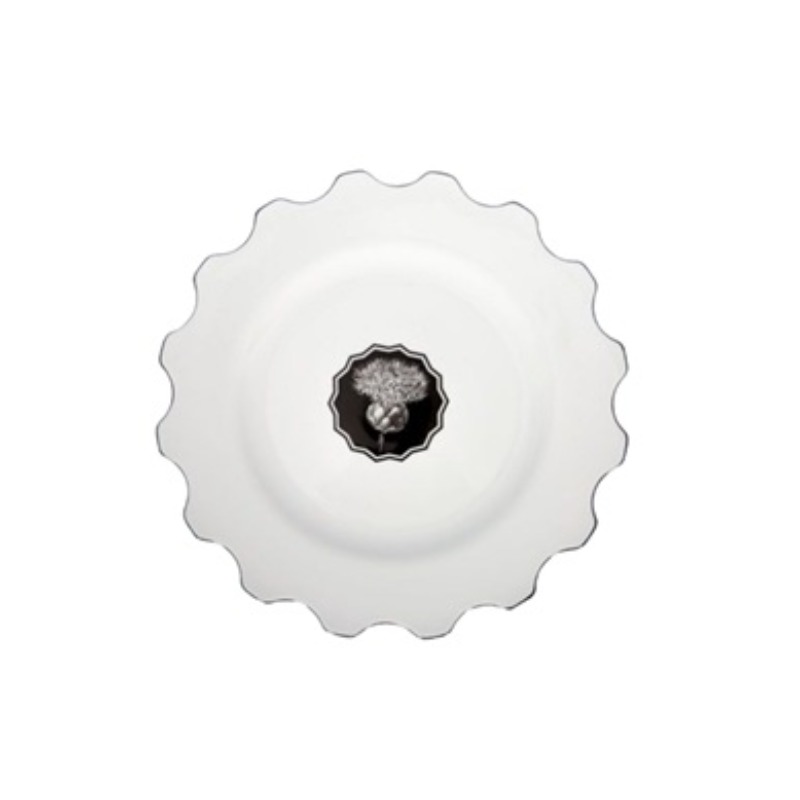 DINNER PLATE HERBARIAE