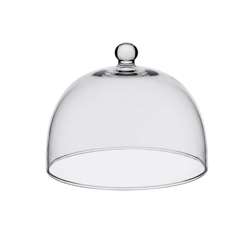 DOME FOR ARTICLE AL066